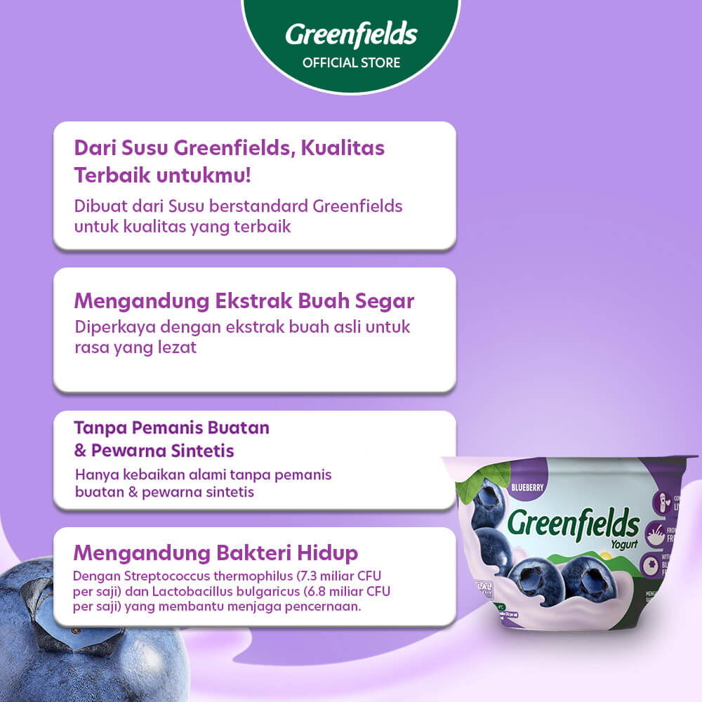 Yogurt Cup Blueberry