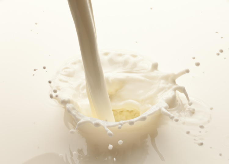 Manfaat Susu Sapi Murni untuk Jaga Kesehatan Keluarga