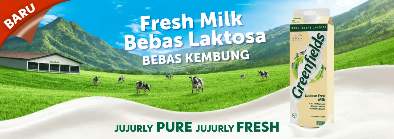 Fresh Milk Lactose Free